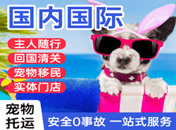 洛阳北郊空运公司国际宠物托运 【国
